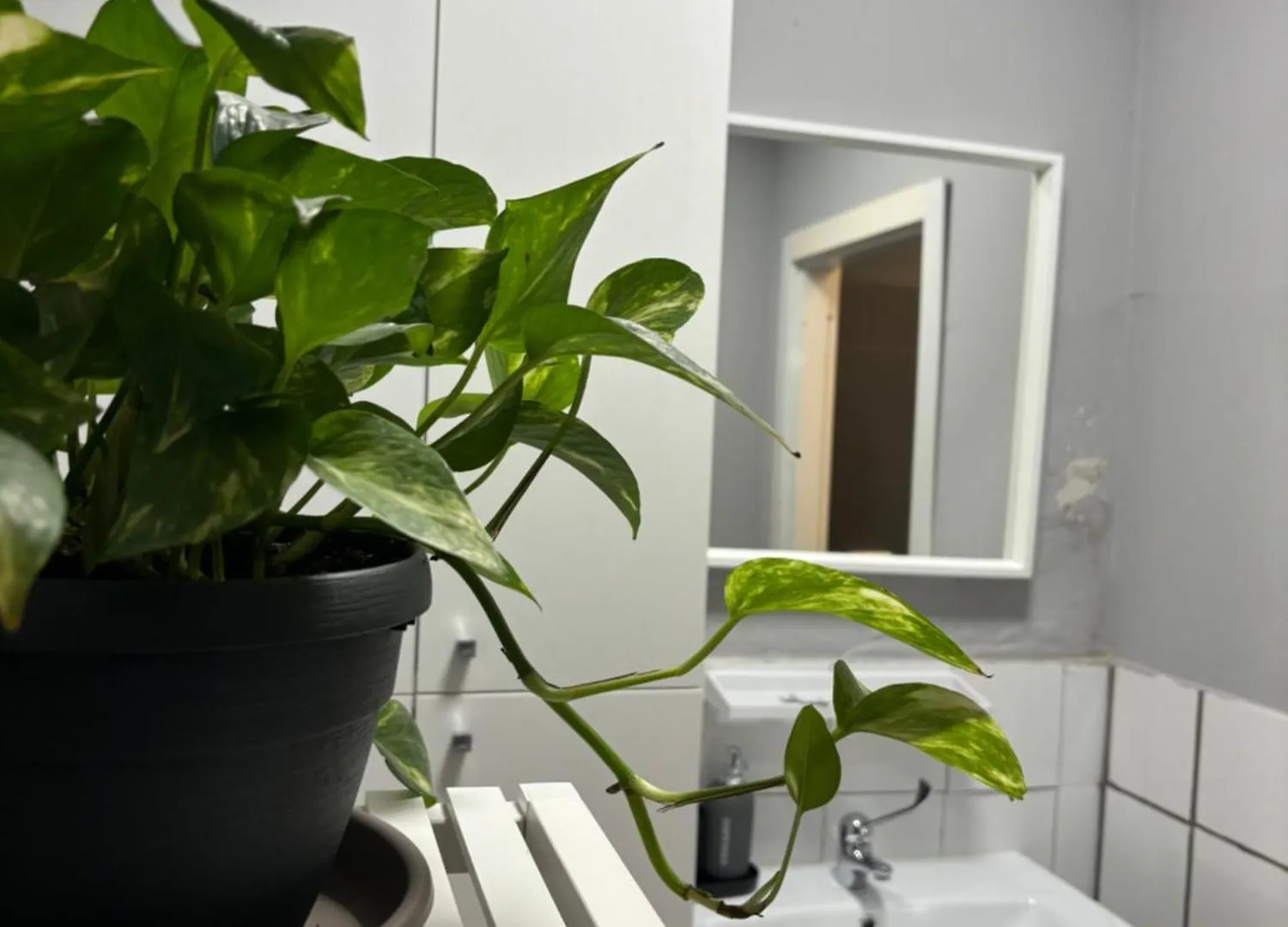 Capitolium Ad Bed & Breakfast Brescia 0*,